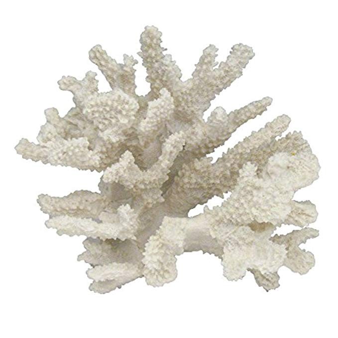 Beachcombers SS-BCS-01032 Coral Centerpiece White | Amazon (US)