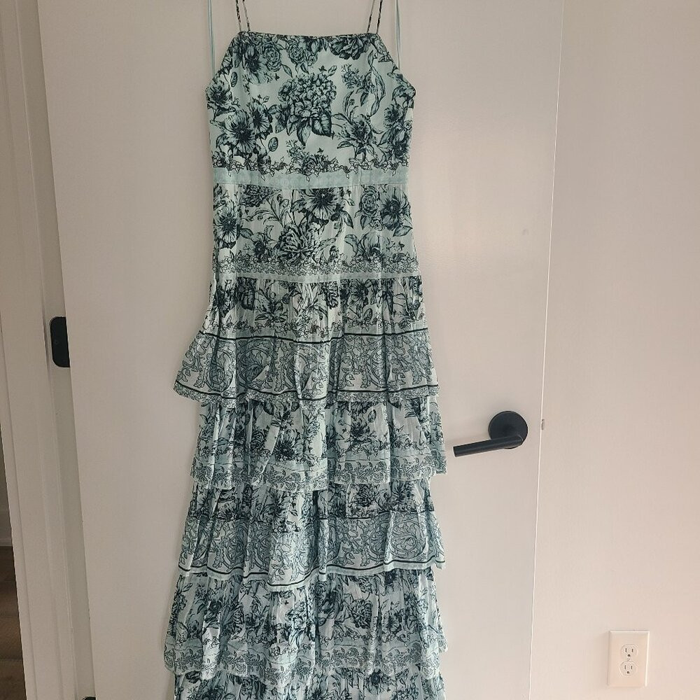 ALICE + OLIVIA  Valencia Floral Cotton Maxi Dress Size 0 | Poshmark