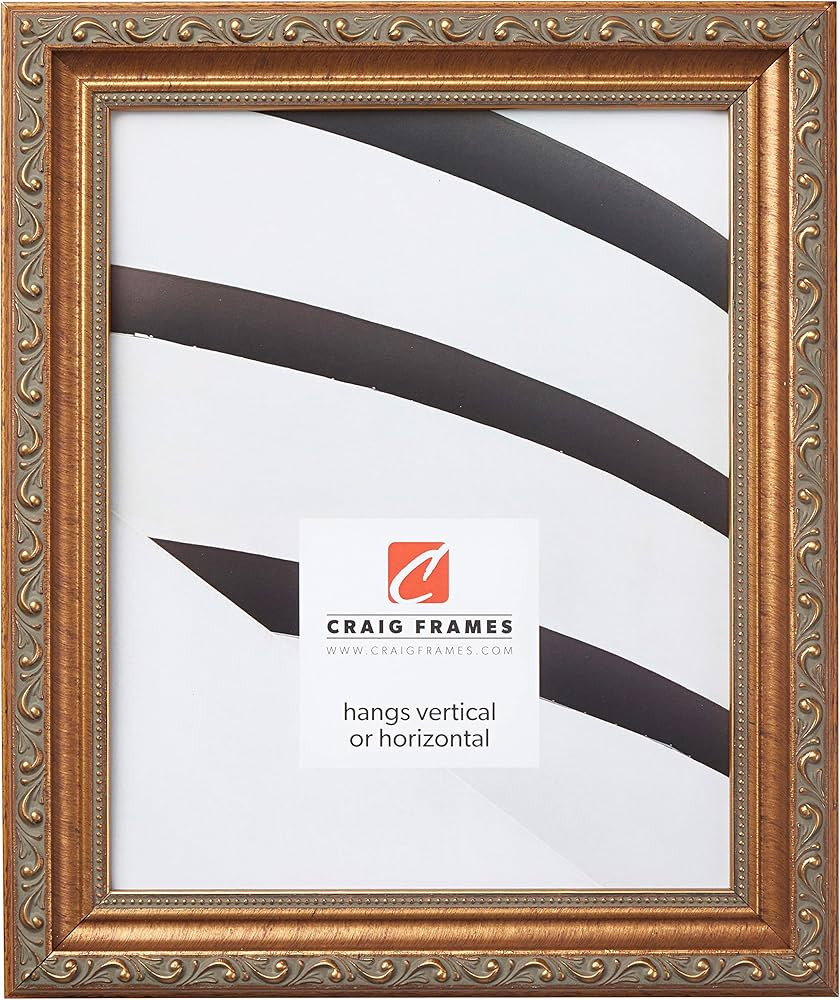 Craig Frames Ancien Ornate, Antique Gold Picture Frame, 8 by 10-Inch | Amazon (US)