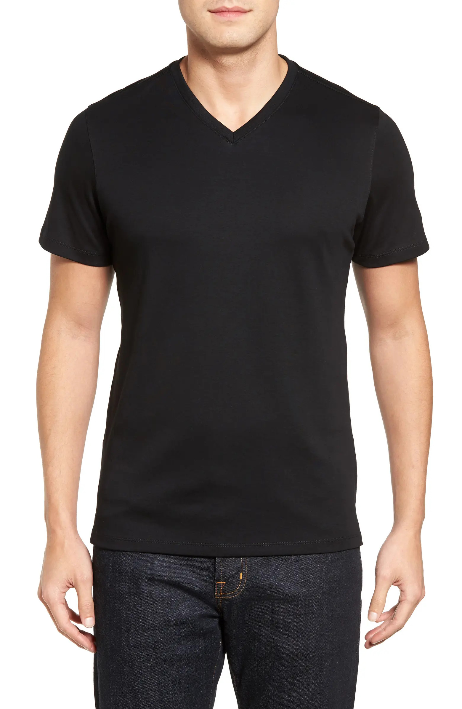 Robert Barakett Georgia Regular Fit V-Neck T-Shirt | Nordstrom | Nordstrom