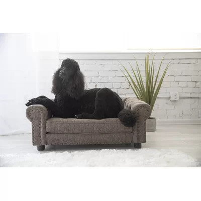 Newton Furniture Dog Sofa | Wayfair North America