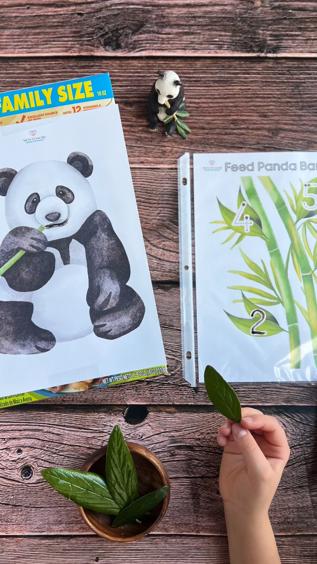 The Cutest Way to Practice Counting…Help Feed the hungry Panda his Bamboo Leaves!

#LTKmorningroutine #LTKKids #LTKstorytime
