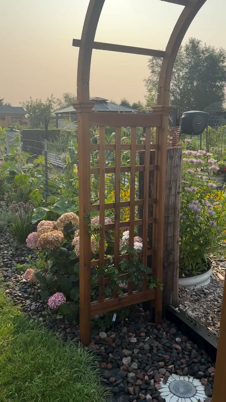 Give me all the sun, soil, and garden and I’ll be happy ☀️ 

#midwestgarden #gardening #raisedbedgardening #provenwinners