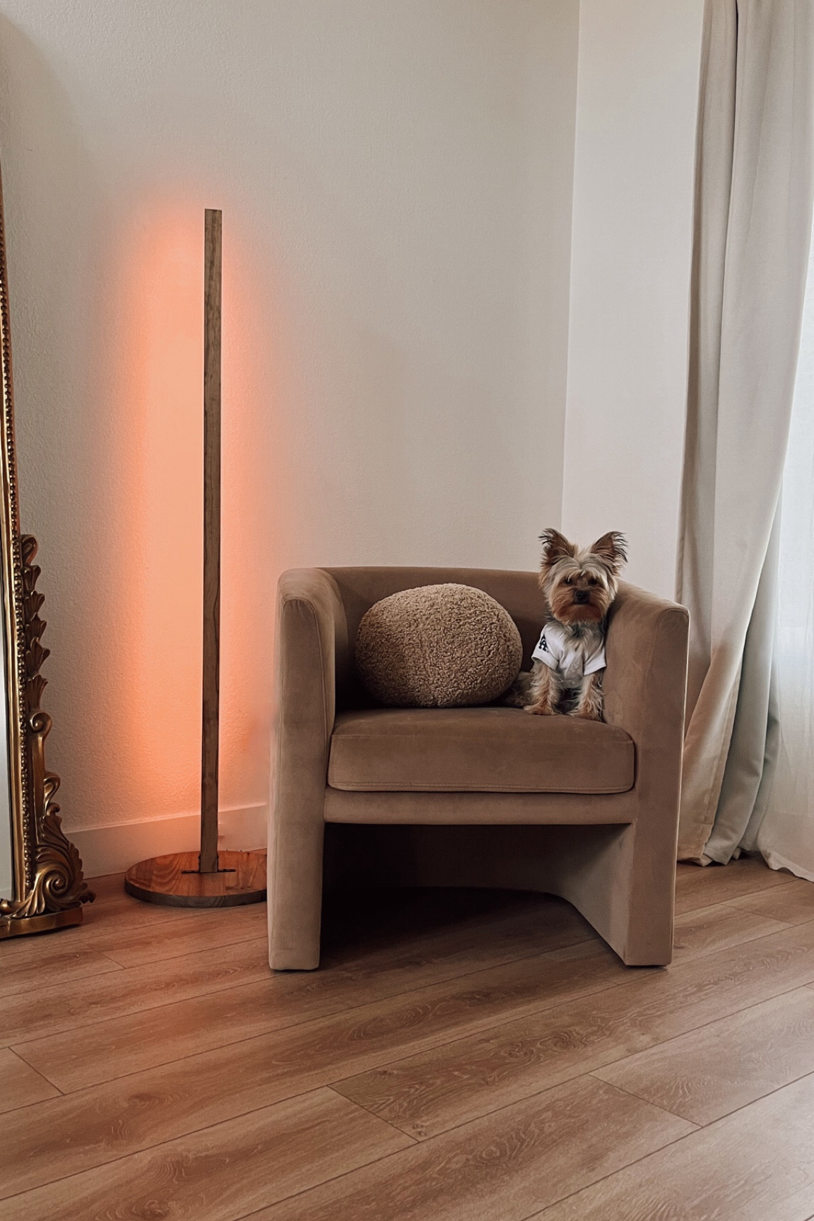 Easy DIY lED Floor Lamp💡

#LTKHome #LTKStyleTip