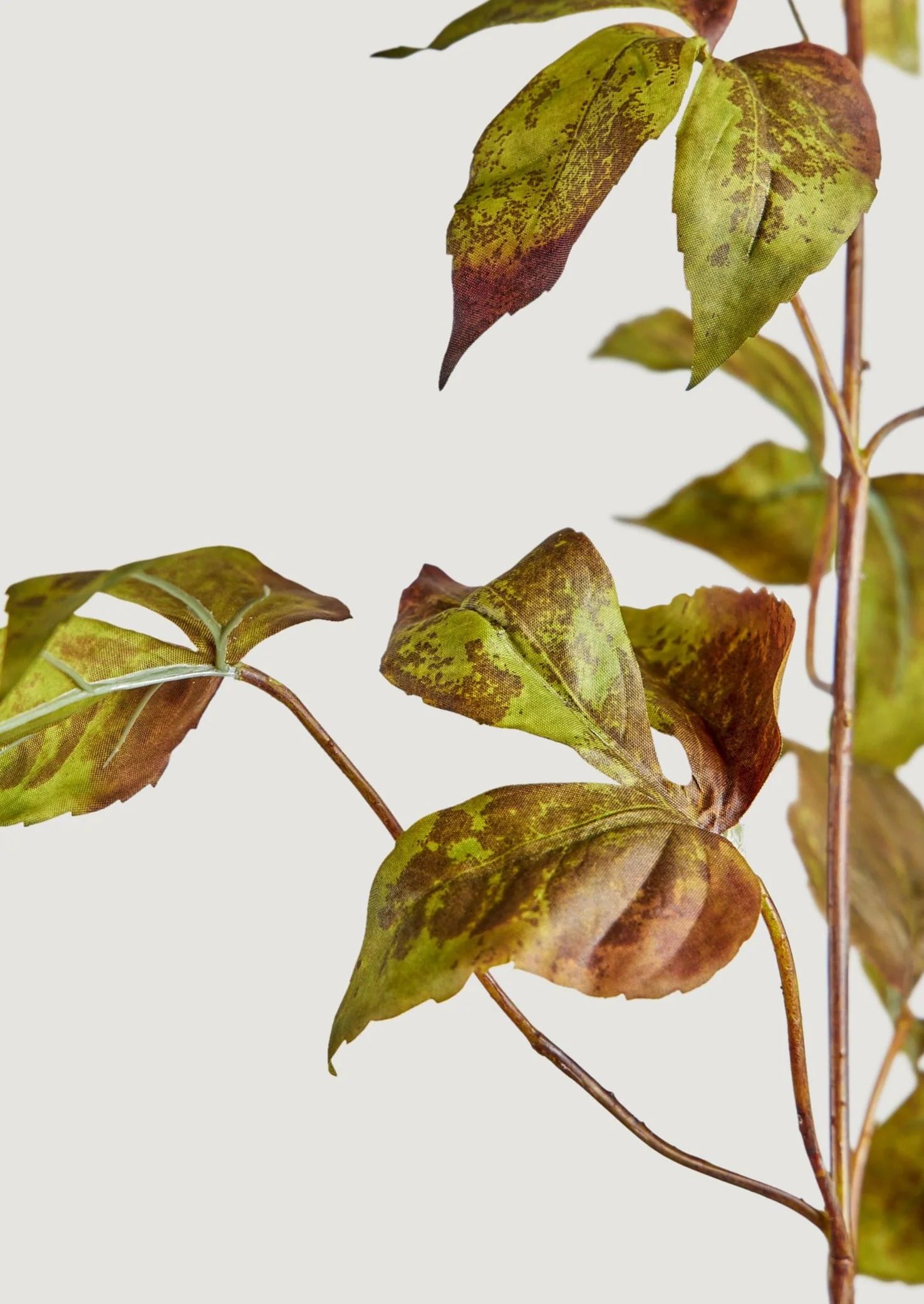 Faux Grape Ivy Branch Green Eggplant  - 48" | Afloral