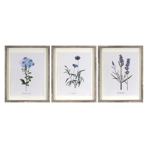 (Set of 3) 16"x20" Framed Vintage Botanicals Decorative Wall Art - Threshold™ | Target