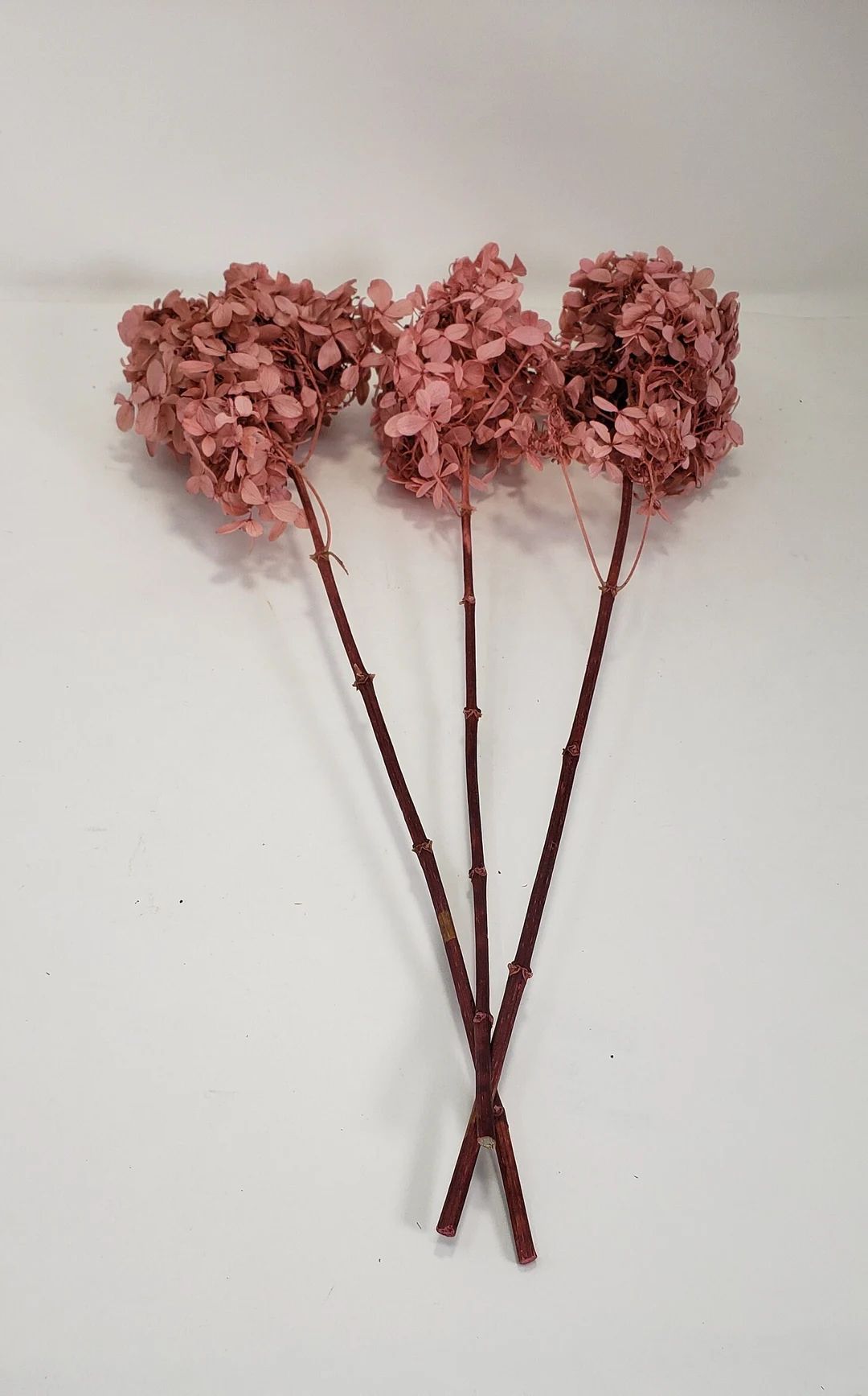 Mauve Pink/ Peegee Hydrangea W/stems  High Quality Home Décor - Etsy | Etsy (US)