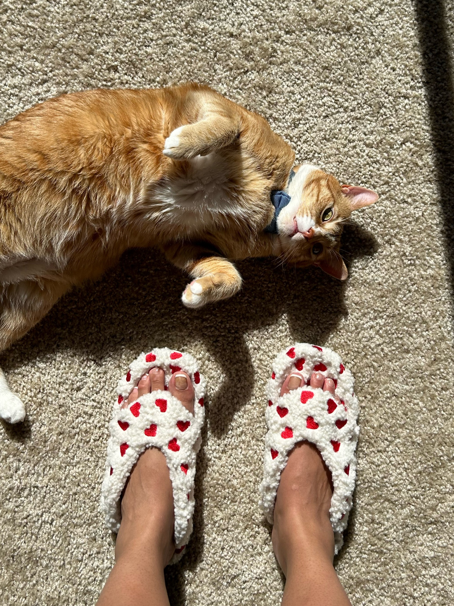 I’ve been eying these babies, and I finally got them ❤️

#LTKFindsUnder50 #LTKBeauty