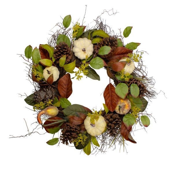 Northlight Pumpkin, Pinecone, and Gourd Grapevine Artificial Thanksgiving Wreath - 24-Inch, Unlit | Target