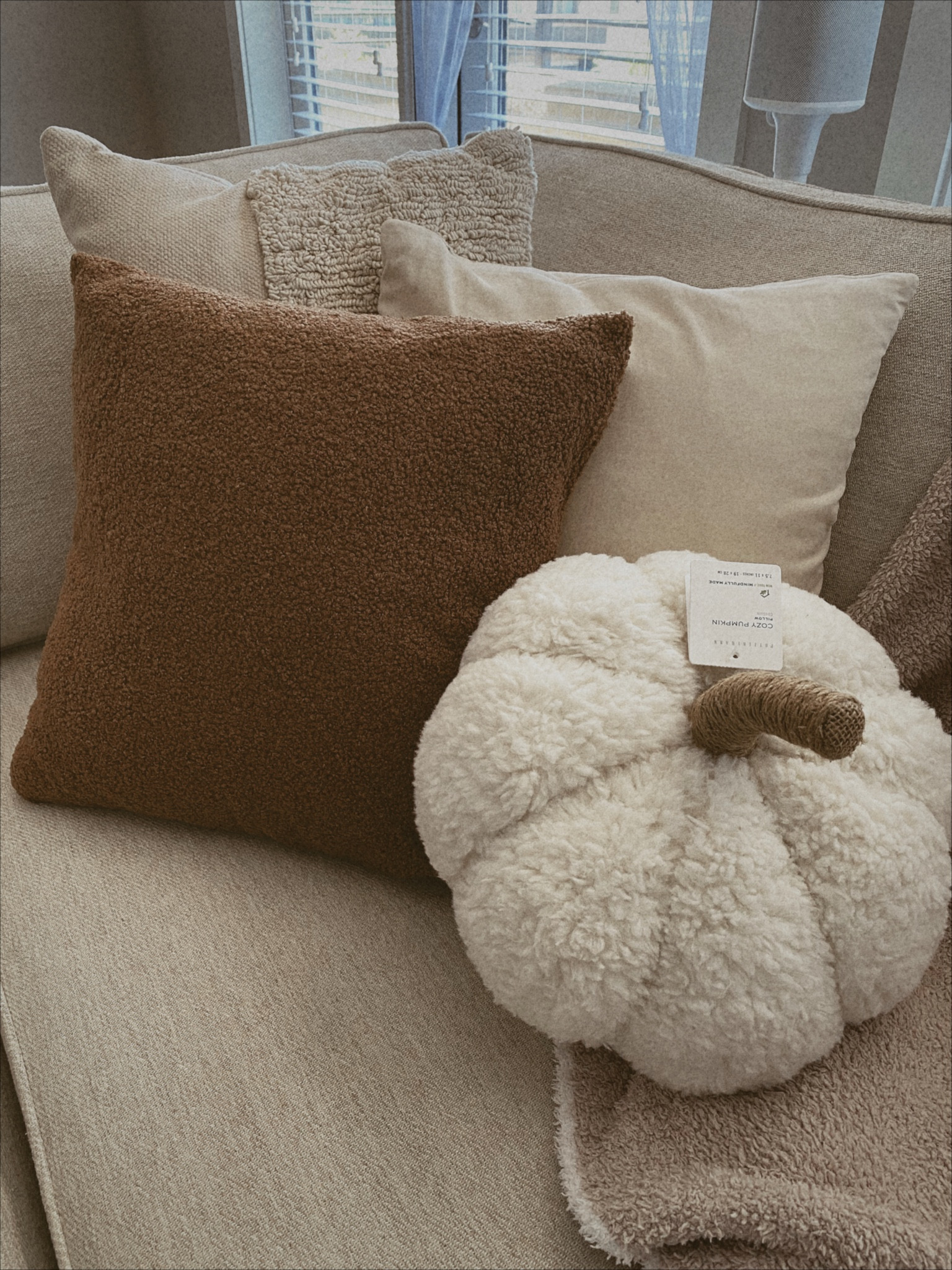 Recently picked up this cozy pumpkin pillow from Pottery Barn 🤎 it added a nice touch of fall to our couch

#LTKhome #LTKSeasonal #LTKunder50