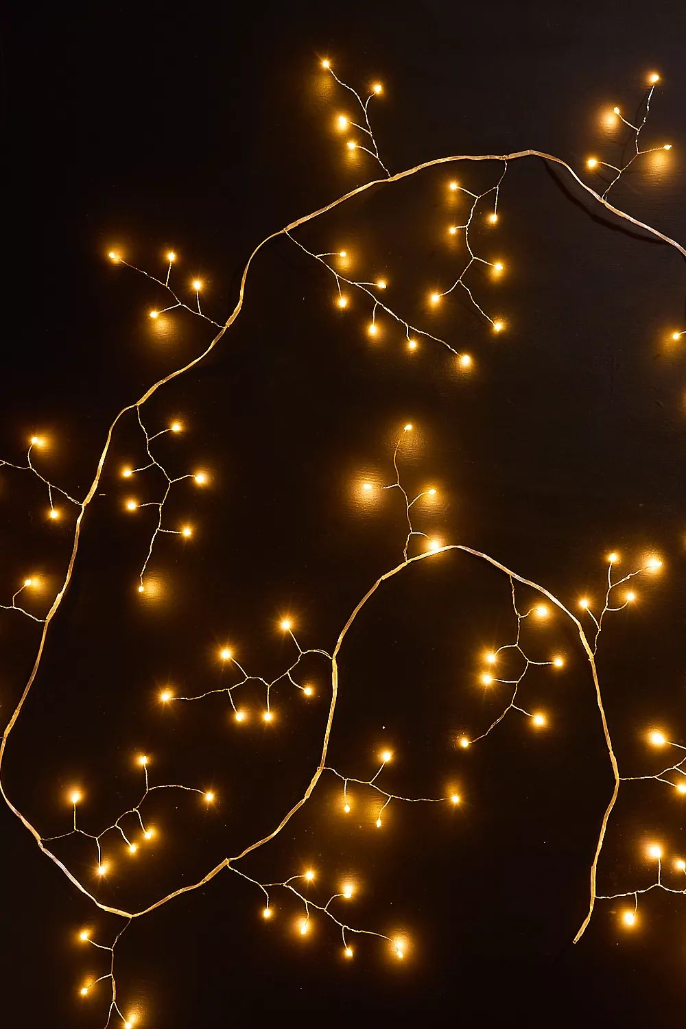 Stargazer Berrydrop String Lights | Anthropologie (US)