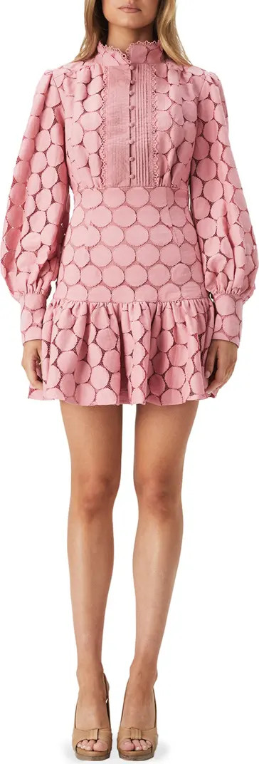 Remy Long Sleeve Spot Lace Minidress | Nordstrom