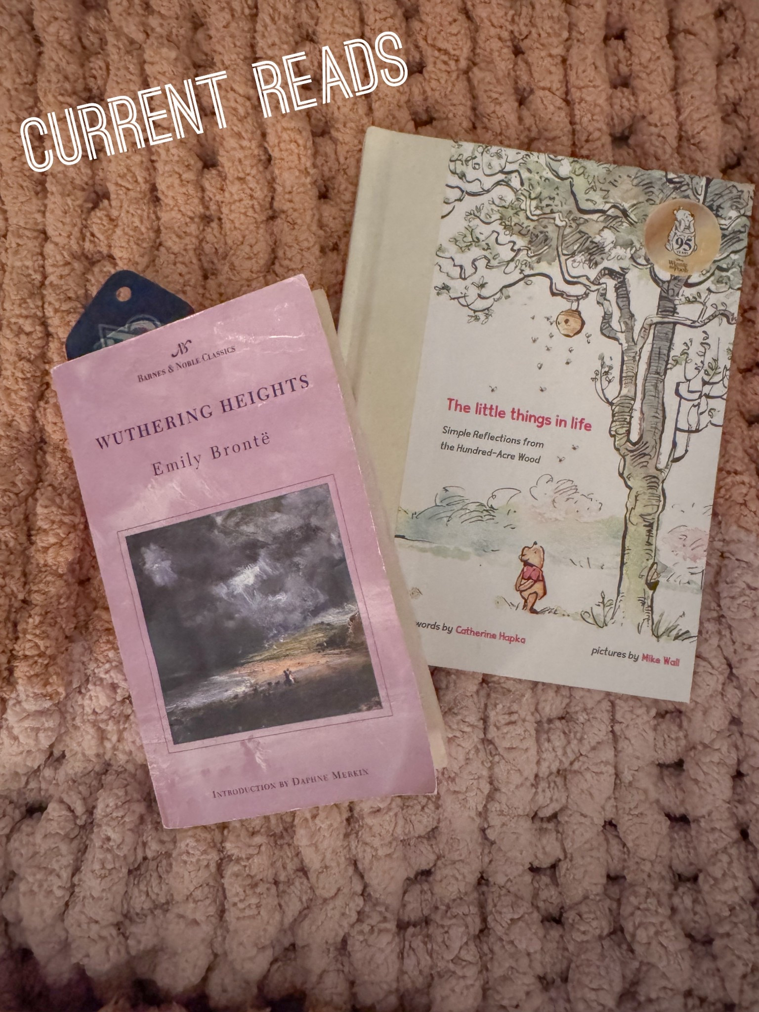 What I’m reading~ Wuthering Heights (getting ready for the movie!) and Winnie the Pooh life lessons

#LTKHome #LTKstorytime #LTKmorningroutine