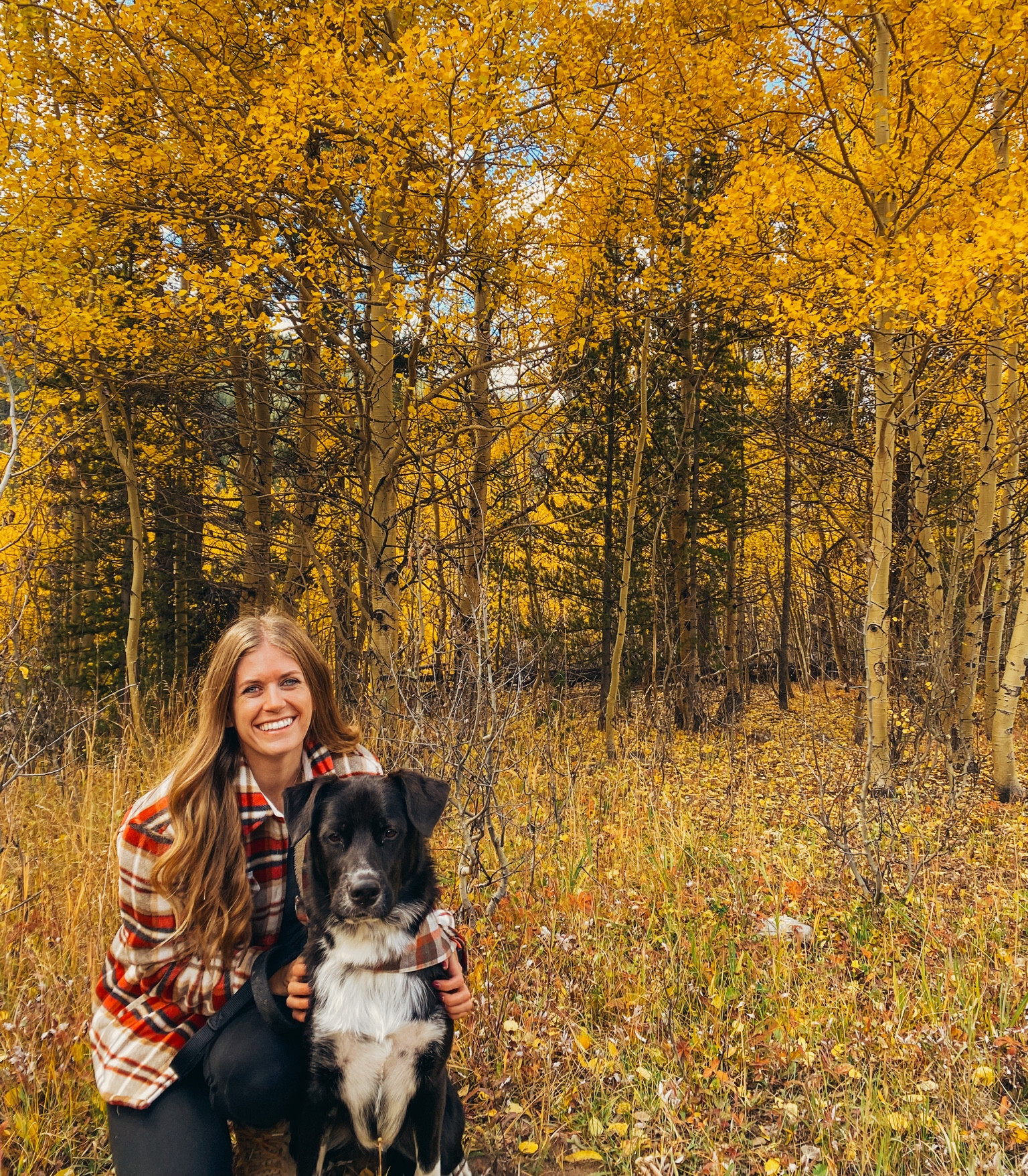 Some of my favorite fall shacket options! 

#LTKSeasonal #LTKsalealert #LTKHolidaySale