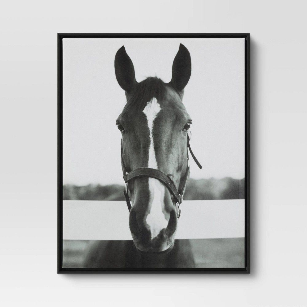 24"" x 30"" Black and White Horse Framed Canvas - Threshold | Target