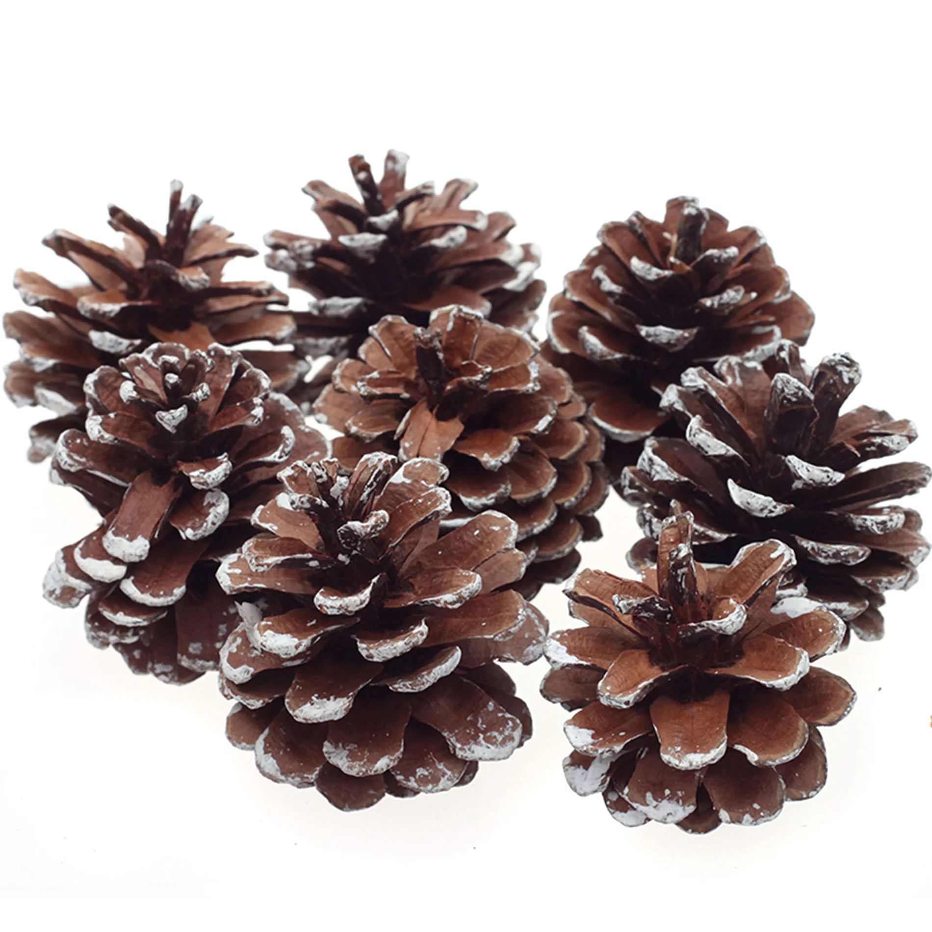8Pcs Snow Pinecone Ornaments Christmas Tree Baubles Pine Cones Decorations | Walmart (US)