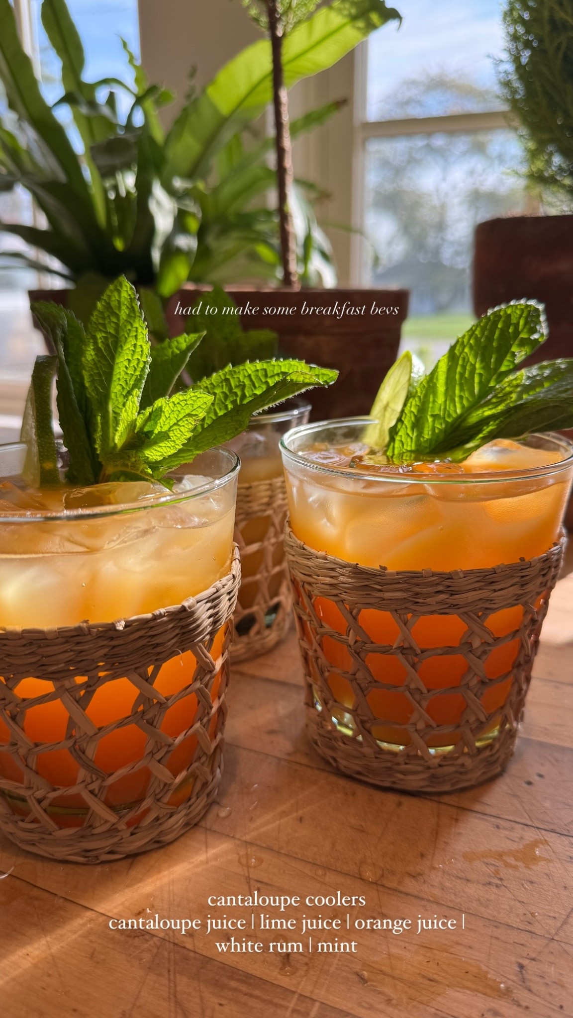 had to make some breakfast bevs cantaloupe coolers
cantaloupe juice | lime juice | orange juice | white rum | mint @escapeandcelebrate