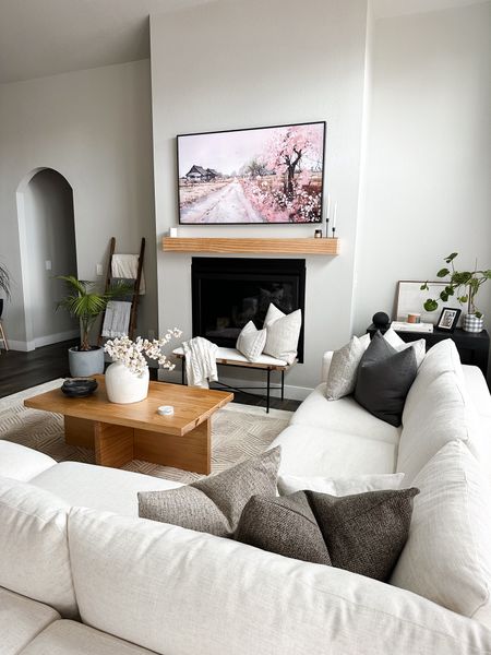 Linking my living room pillows, sectional, frame tv art, and more!

#LTKFindsUnder100 #LTKHome #LTKStyleTip
