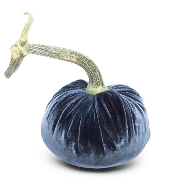 Sapphire Silk Velvet Pumpkin | Hot Skwash