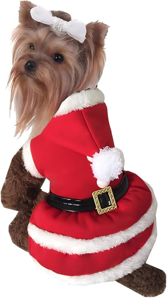 NACOCO | Amazon (US)