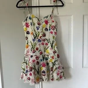 Alice + Olivia Rosette Floral Eyelet Embroidery Mini Dress | Poshmark