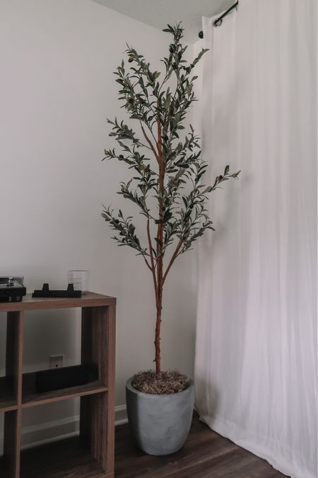 Olive tree and kante 14in planter from Amazon 

#LTKfindsunder50 #LTKhome #LTKfindsunder100