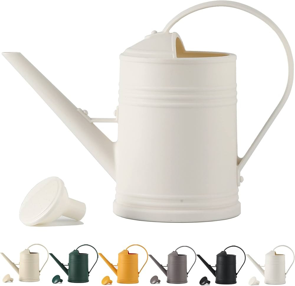 Long Spout Plant Watering Can 1/2 Gallon, Small Plastic Indoor Plant Watering Can for Outdoor Pla... | Amazon (US)
