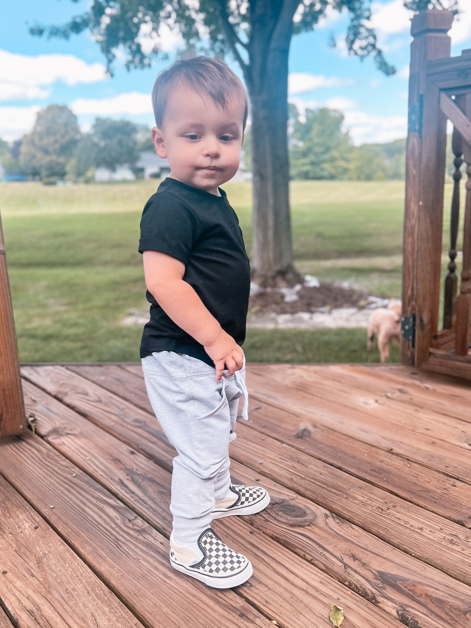 toddler fashion. Toddler style. Toddler joggers. Baby vans. Toddler vans. Boy style. Toddler boy style  

#LTKShoeCrush #LTKKids #LTKBaby