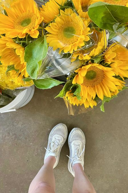 Chloe Nama sneakers, dupes and sunflowers 

#LTKunder100 #LTKshoecrush #LTKhome