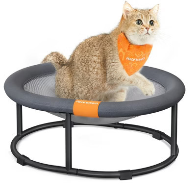 Feandrea Cat Bed, Elevated Pet Bed for Average Cats, Cat Hammock, Cat Bed Dog Bed with Removable Washable Mesh, 20.5 x 16.5 x 7.9 Inches, Oval, Gray | Target