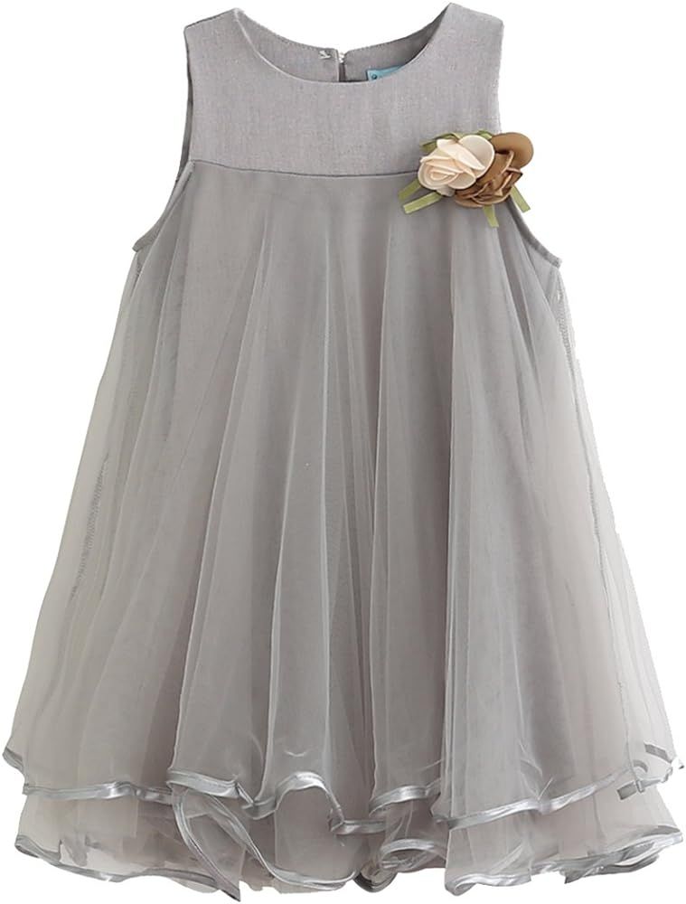 Camidy 1-6T Kid Baby Girl Flower Girls Tulle Lace Dress for Birthday Prom Wedding | Amazon (US)