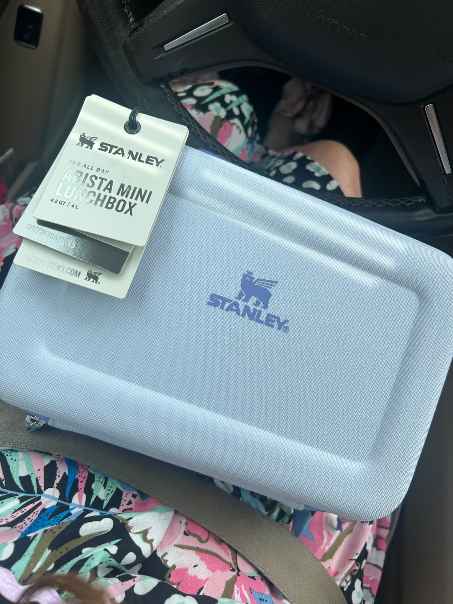 stanley mini lunchbox 