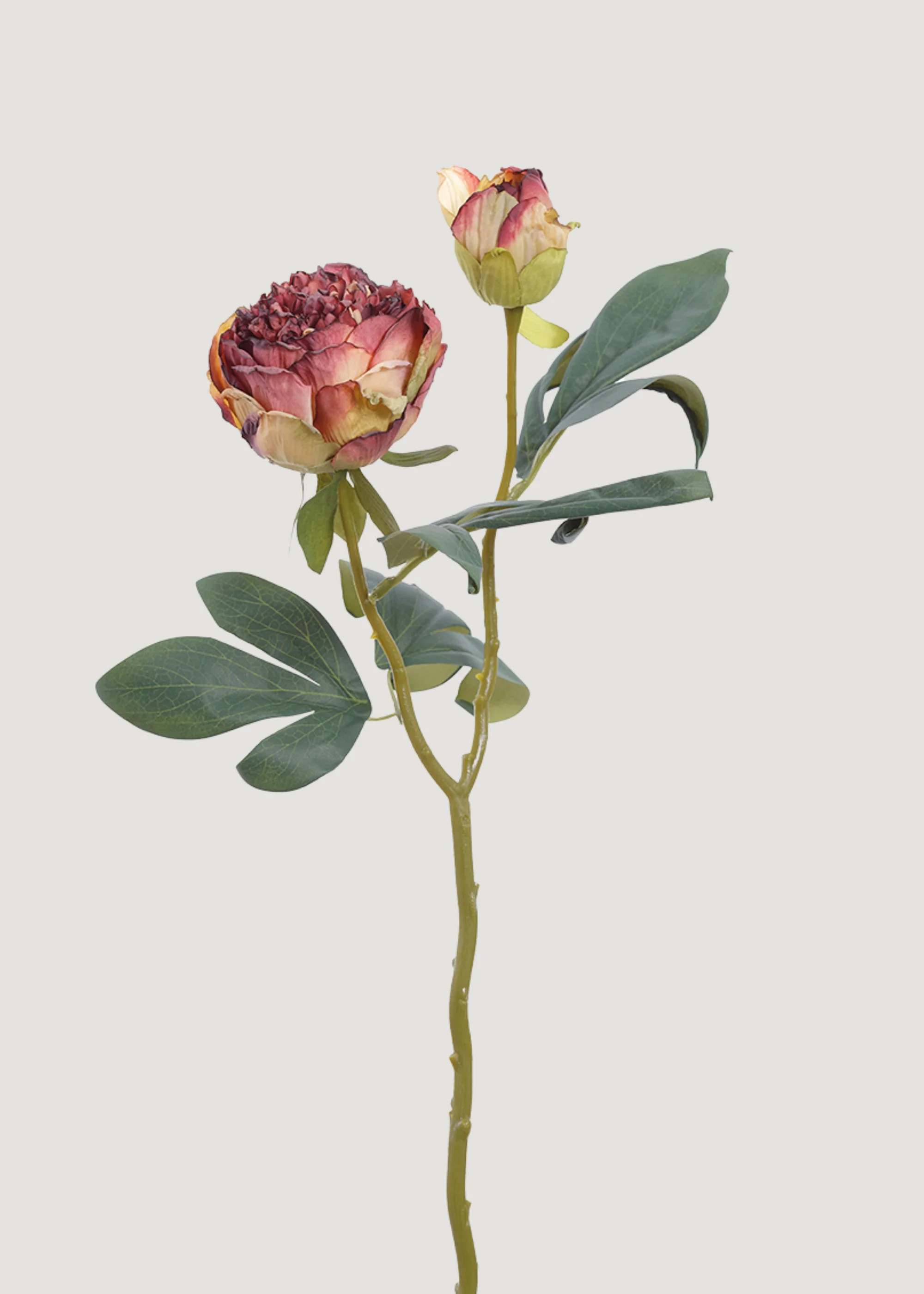 Burgundy Peony with Dried Look | Best Faux Flowers | Afloral | Afloral