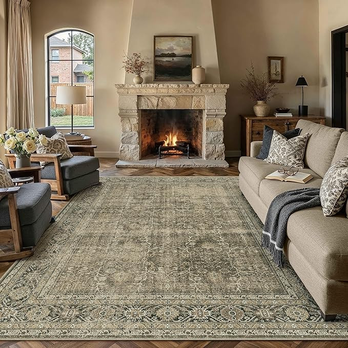 Light Brown Area Rug 6x9 Vintage Washable Indoor Door Mat Living Room Carpet Tribal Distressed Re... | Amazon (US)