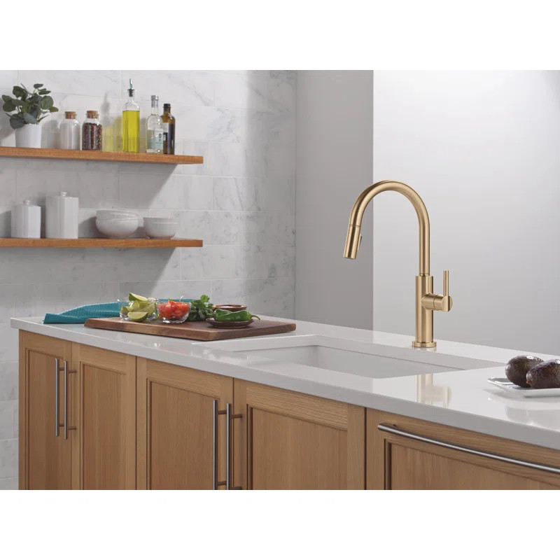 Nicoli Pull Down Sprayer Kitchen Sink Faucet, Single Handle Kitchen Faucet | Wayfair North America