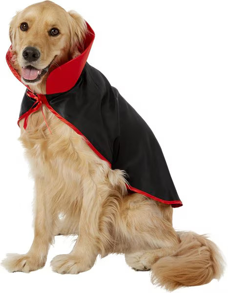 Frisco Vampire Cape Dog & Cat Costume | Chewy.com