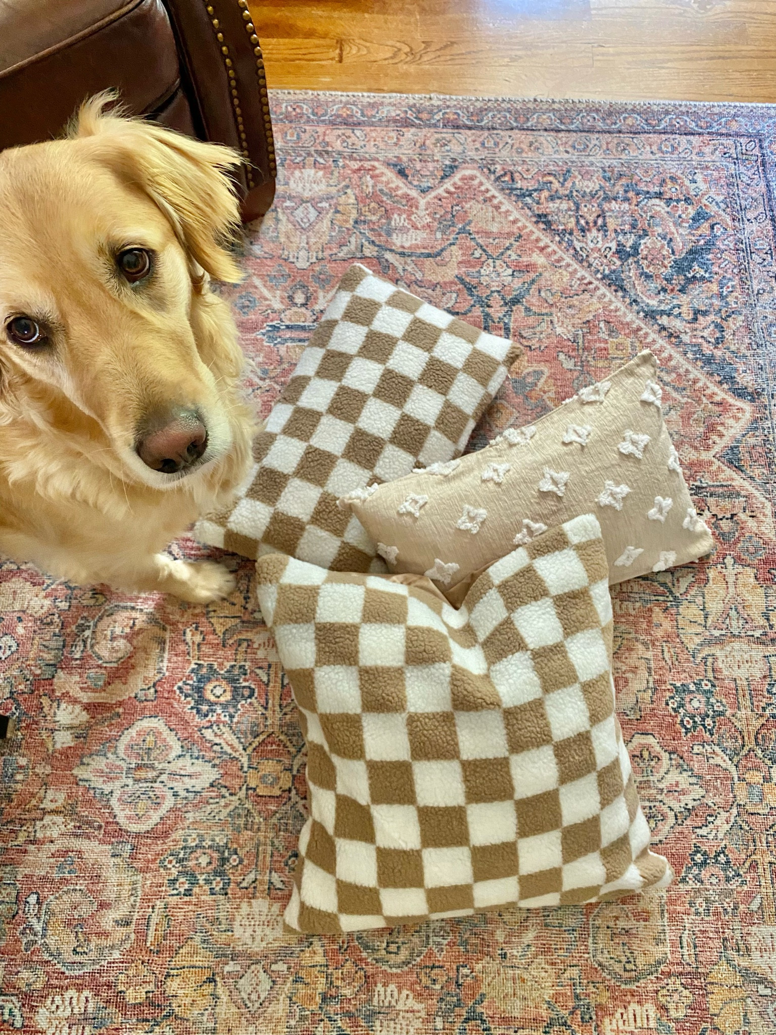 Budget pillow covers
Checkered pillow cover
Outdoor pillow cover
All under $10
Shein
Amazon 

#LTKunder50 #LTKFind #LTKhome