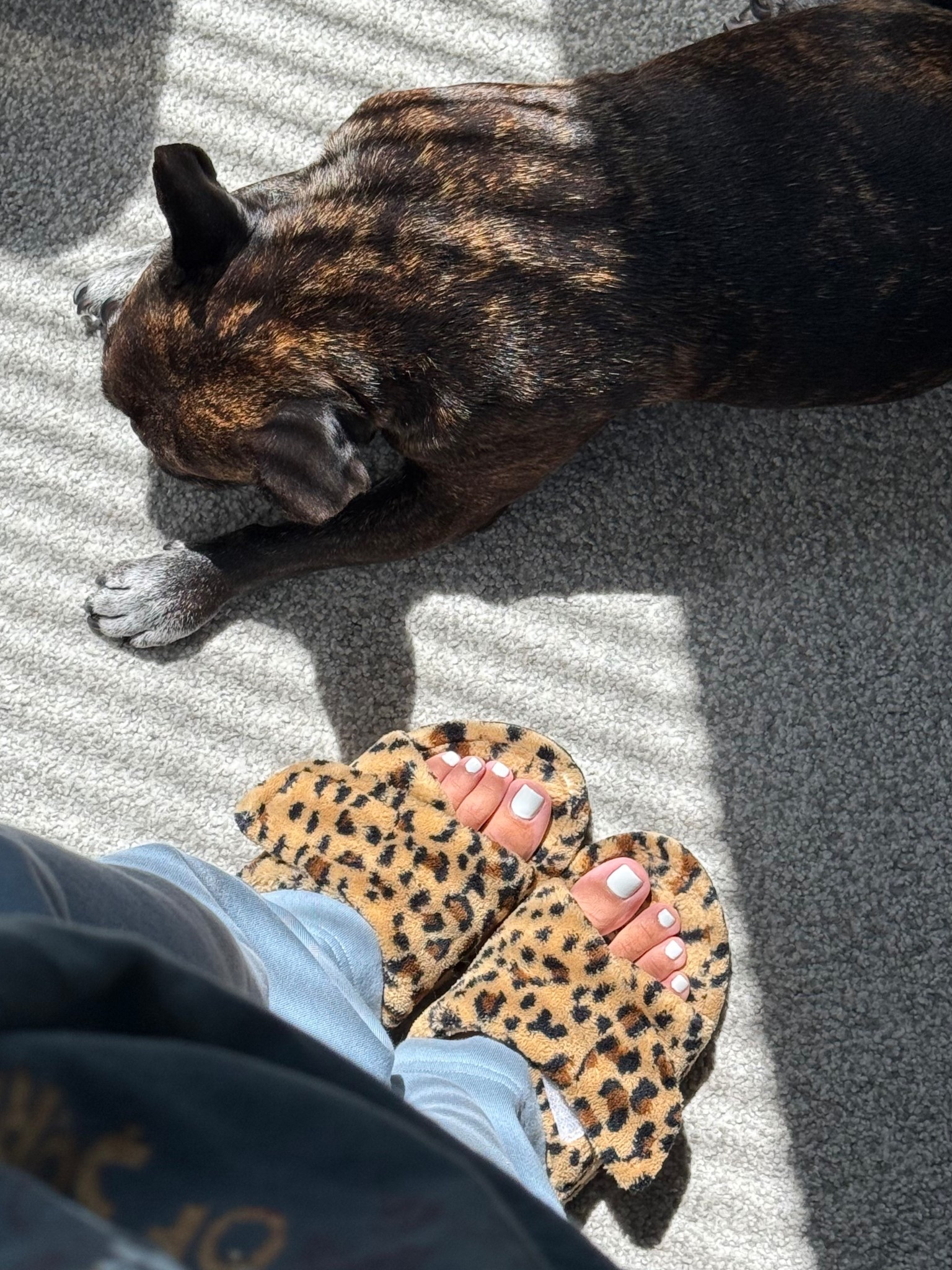 Comfiest adjustable slippers with memory foam arch support 🐆. Available in 9 colors!