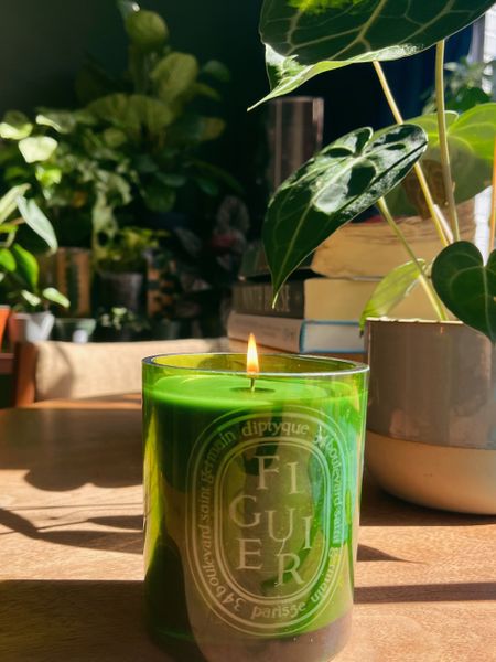 Diptyque Figuier (Fig) Scented Candle!! Follow @hollyjoannew for style and home finds! So glad you’re here babe! Xx 

Luxury Home Accents | Fall Home Decor | Classic Cozy Candles | Autumn Home | Diptyque Home Fragrance 

#LTKfindsunder100 #LTKhome #LTKHoliday