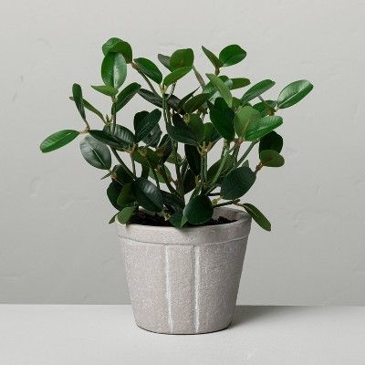 7.5&#34; Mini Faux Bean Potted Plant - Hearth &#38; Hand&#8482; with Magnolia | Target