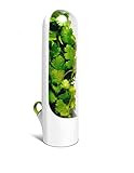 Herb Saver Best Keeper for Freshest Produce - Innovation that Works by Prepara | Amazon (US)