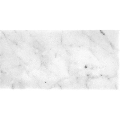 Apollo Tile  1 Pack 3-in x 6-in White Subway Polished Finish Marble Sample Tile | Lowe's