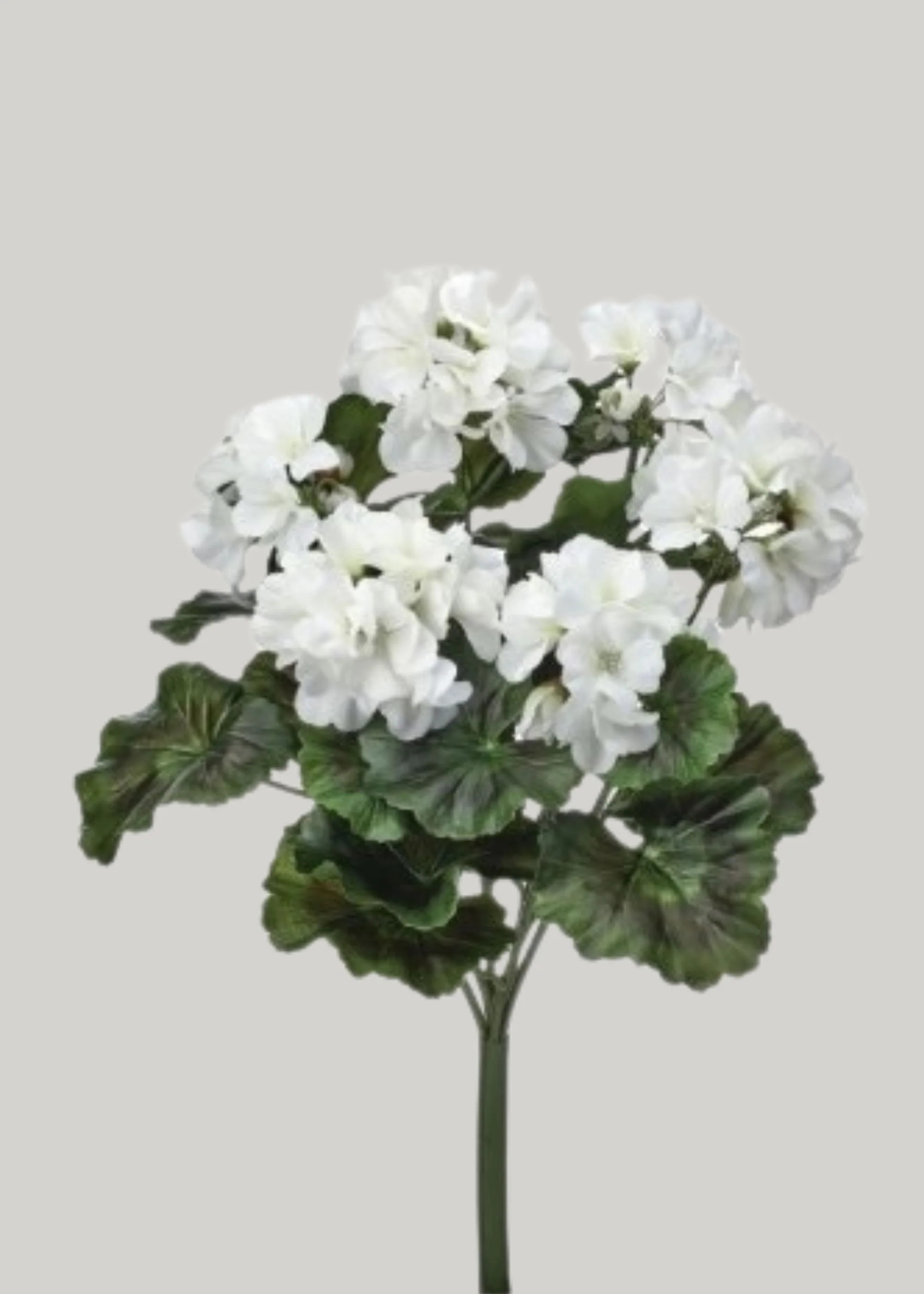 UV Treated Geranium Bush in White | Faux Outdoor Flowers at Afloral | Afloral