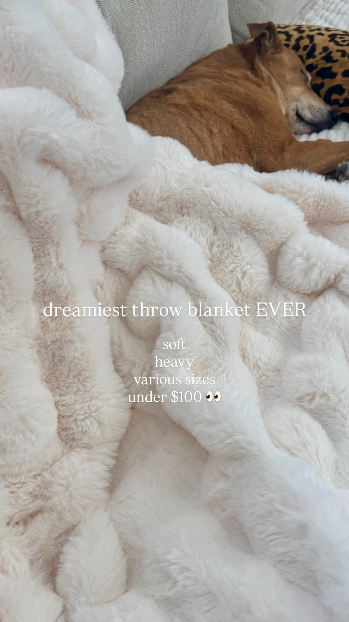 Our whole family is obsessed!! Such a similar option to the higher-end faux fur bubble blankets


Amazon, throw blanket, home decor

#LTKHome