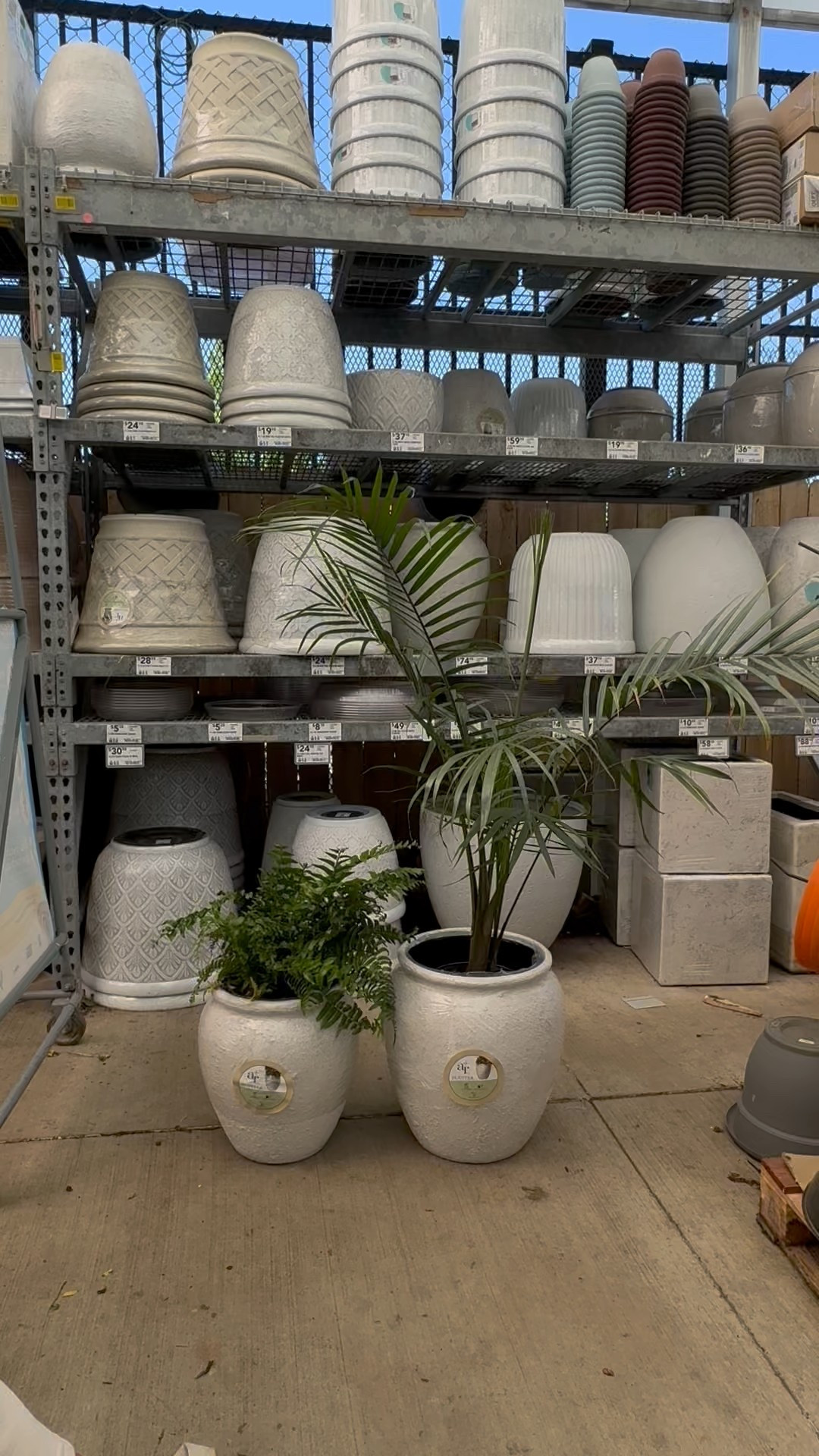 My new planters from Lowe’s! These are beautiful and have such good texture on them! They have a self watering system inside which I love! 

I am using them for my real plants.

@loweshomeimprovement #ad #lowes #loweshomeimprovement #lowespartner #planters #outdoor #plants 

#LTKSeasonal #LTKHome #LTKFindsUnder100