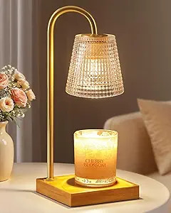 Hong-in Candle Warmer Lamp with Timer Dimmer,Birthday Gifts for Women Mom Sister,House Warming Gi... | Amazon (US)