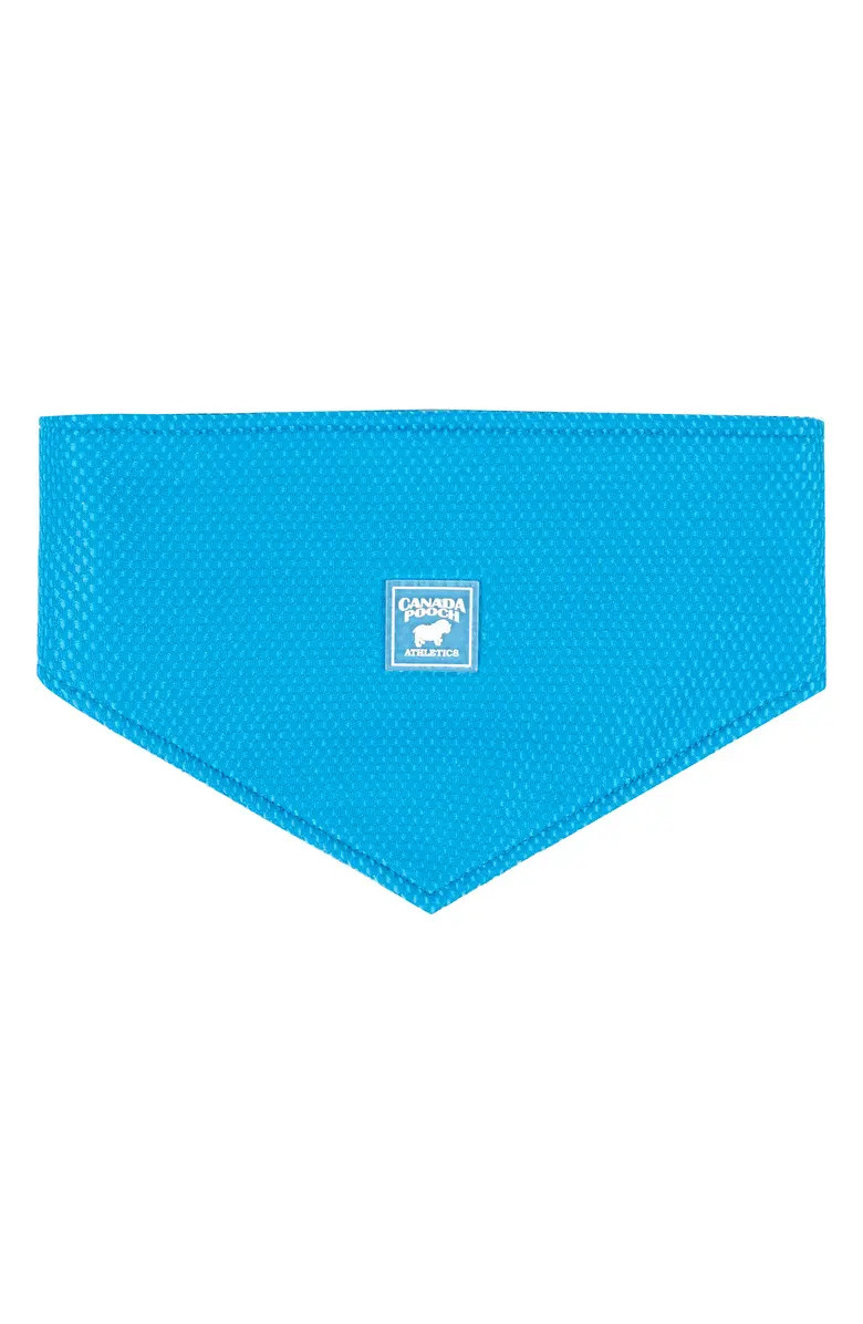 Chill Seeker Cooling Bandana | Nordstrom