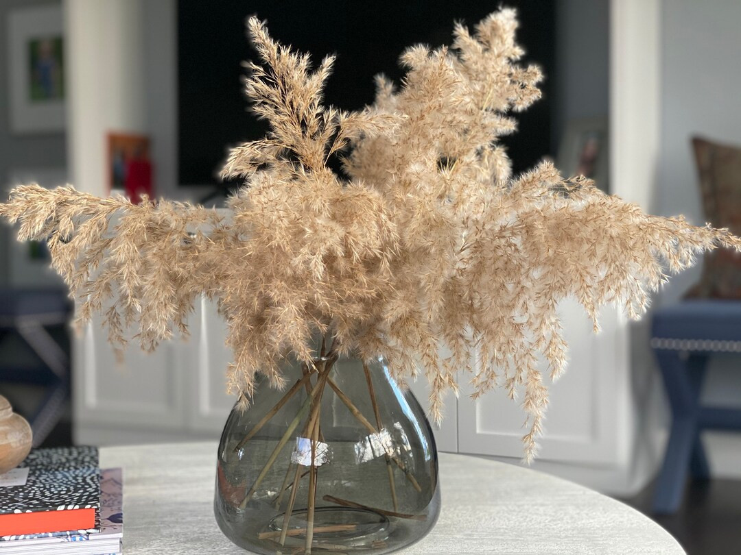 Natural Beige Short Pampas Grass | Etsy (US)