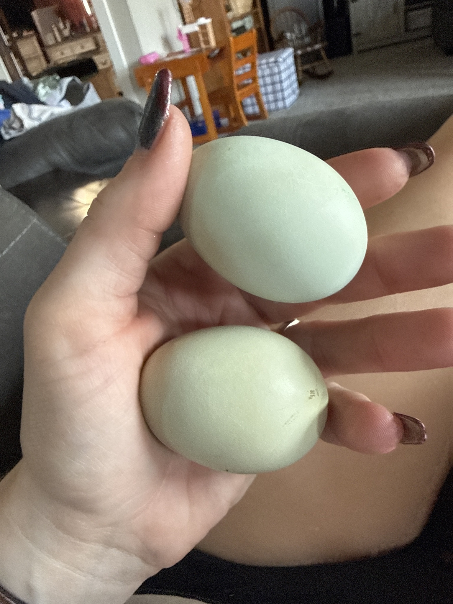 First green eggs ✅❤️ #homestead

#LTKvlog #LTKdayinmylife