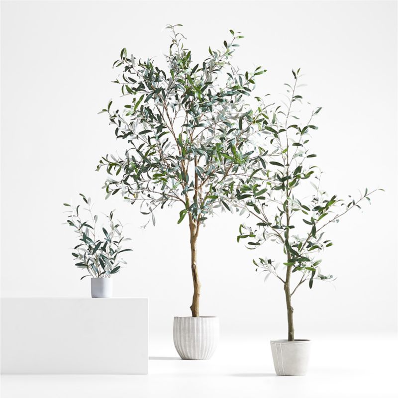 Potted Faux Olive Trees | Crate and Barrel | Crate & Barrel